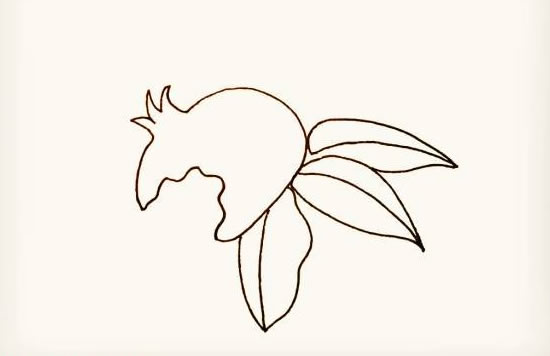 带叶子的石榴简笔画