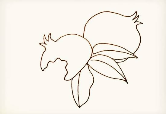 带叶子的石榴简笔画
