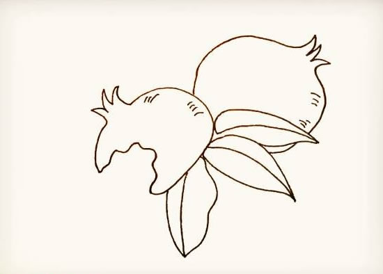 带叶子的石榴简笔画