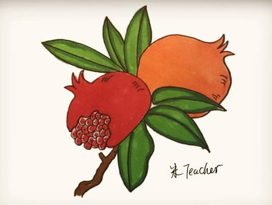 带叶子的石榴简笔画