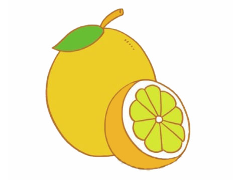 几张彩色的柠檬简笔画