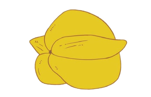 杨桃简笔画图片大全