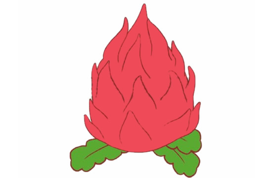 一组关于火龙果的简笔画