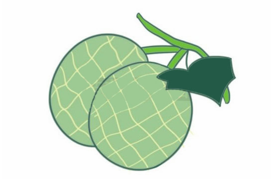 分享一组彩色的哈密瓜简笔画