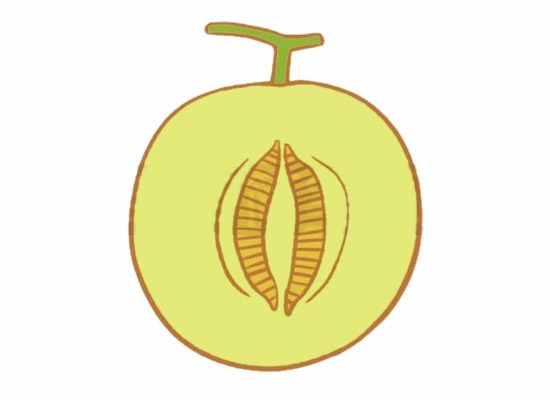 美味的哈密瓜简笔画 美味的哈密瓜简笔画