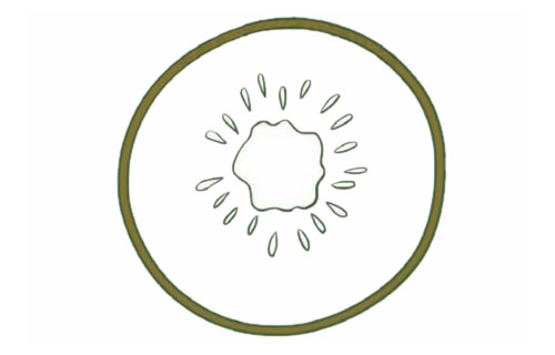 切开的一片猕猴桃简笔画