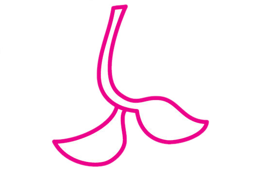 桑葚简笔画的画法 桑葚简笔画的画法