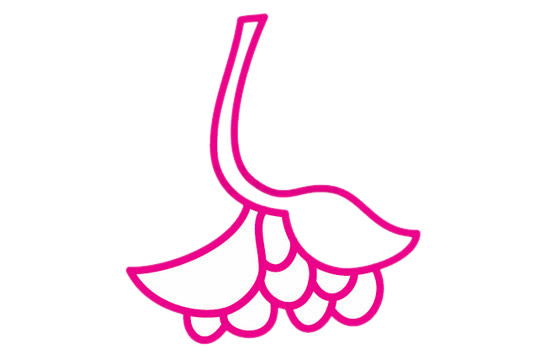 桑葚简笔画的画法 桑葚简笔画的画法