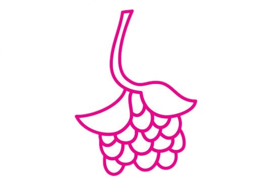 桑葚简笔画的画法 桑葚简笔画的画法