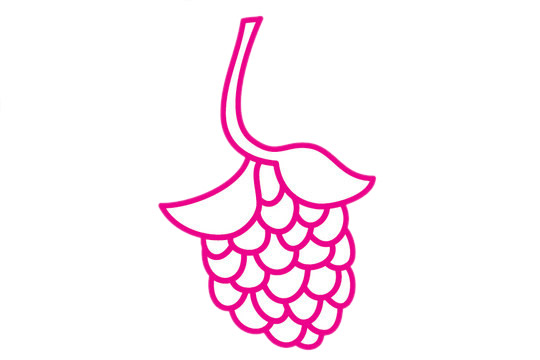 桑葚简笔画的画法 桑葚简笔画的画法