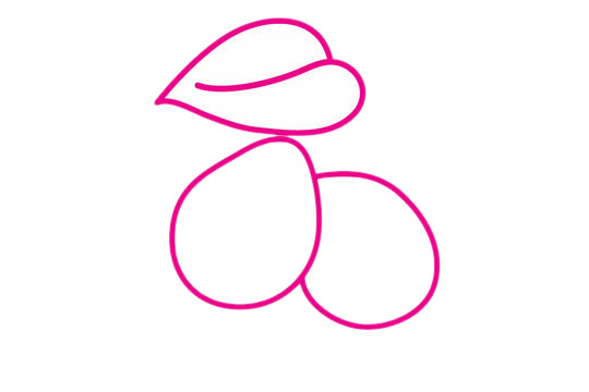 枇杷怎么画最简单 枇杷怎么画最简单