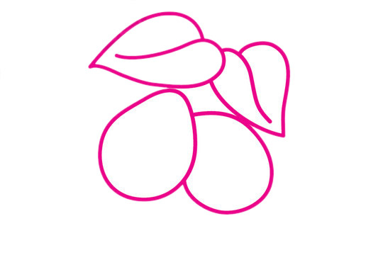 枇杷怎么画最简单 枇杷怎么画最简单