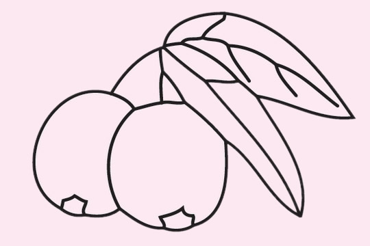 几张关于枇杷的简笔画