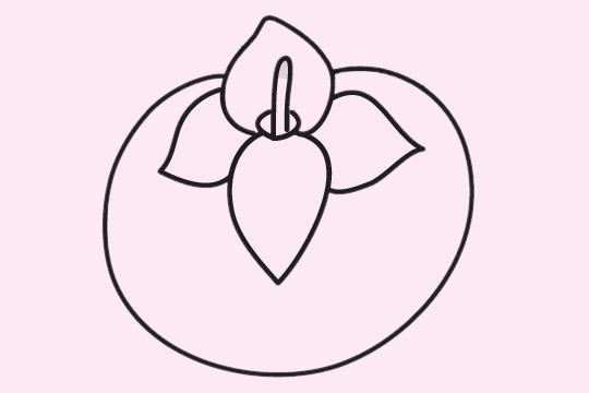 几张关于山竹的简笔画