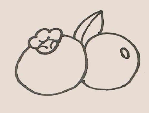 蓝莓怎么画最简单 蓝莓怎么画最简单