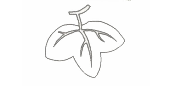 涂色的葡萄简笔画