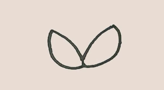 剥开的荔枝简笔画步骤