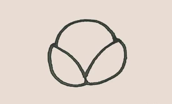 剥开的荔枝简笔画步骤