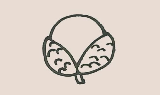 剥开的荔枝简笔画步骤