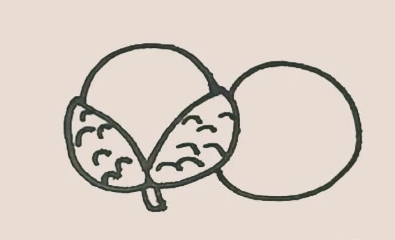 剥开的荔枝简笔画步骤