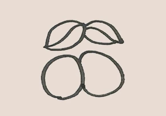 枇杷简笔画步骤图解