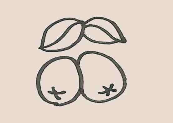 枇杷简笔画步骤图解