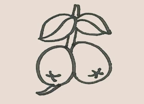 枇杷简笔画步骤图解