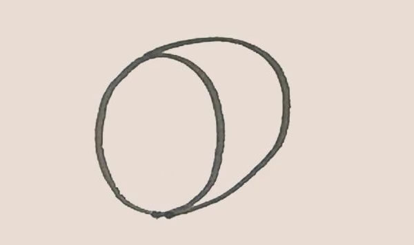 切开的猕猴桃简笔画