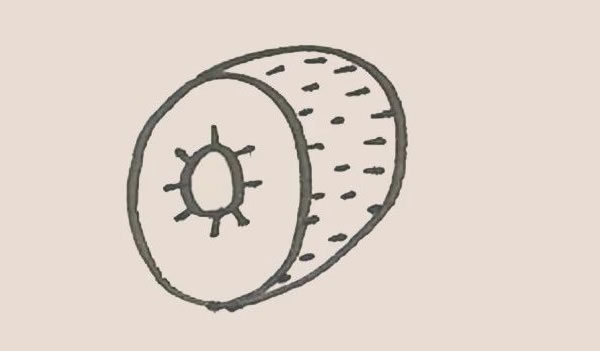 切开的猕猴桃简笔画