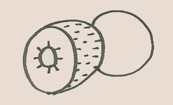 切开的猕猴桃简笔画