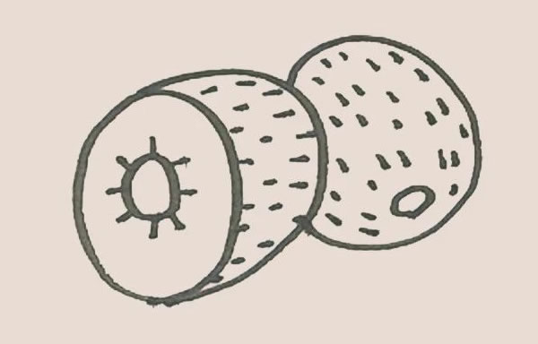 切开的猕猴桃简笔画