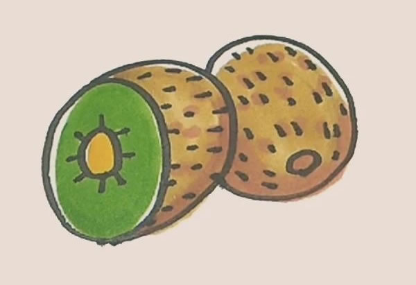 切开的猕猴桃简笔画