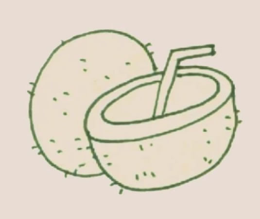 带吸管的椰子简笔画