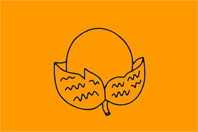 荔枝简笔画图片大全