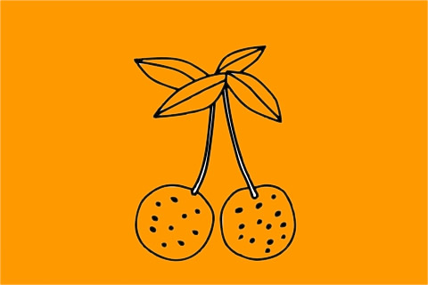 荔枝简笔画图片大全