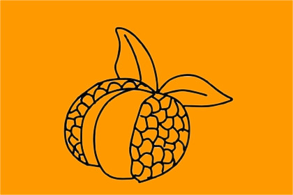 荔枝简笔画图片大全