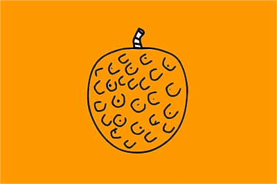 荔枝简笔画图片大全