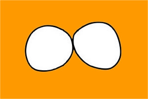 荔枝简笔画步骤