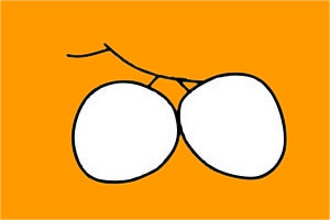 荔枝简笔画步骤