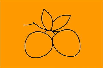 荔枝简笔画步骤
