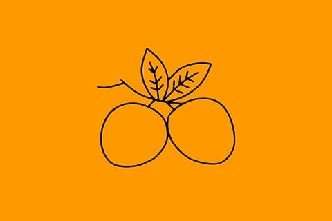 荔枝简笔画步骤