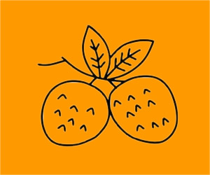 荔枝简笔画步骤