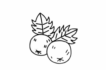 分享几幅关于山楂的简笔画