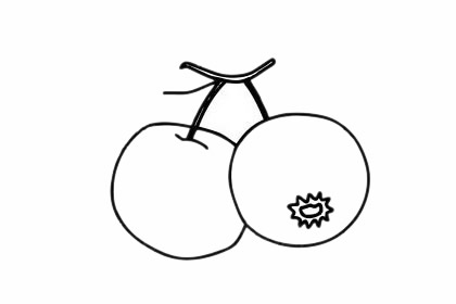 分享几幅关于山楂的简笔画
