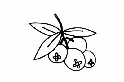 分享几幅关于山楂的简笔画