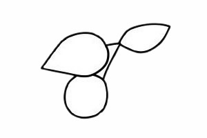 山楂简笔画的画法