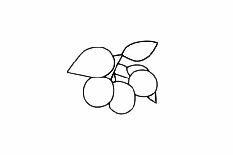 山楂简笔画的画法