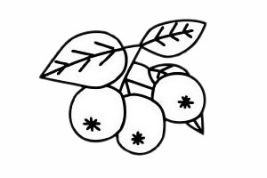 山楂简笔画的画法