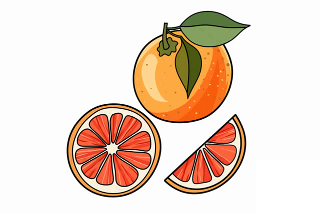 西柚简笔画步骤