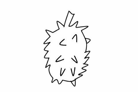 分享几张关于榴莲的简笔画
